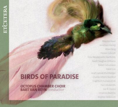 Octopus Chamber Choir - Birds of Paradise