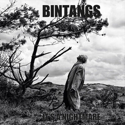 Bintangs - It\'s a Nightmare