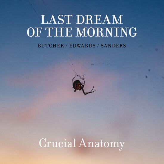 Last Dream of the Morning - Crucial Anatomy