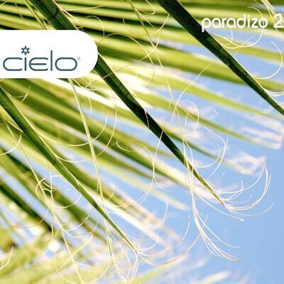 Nicolas Matar and Willie Graff - Cielo: Paradizo 2 (CD)