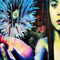 Future Sound Of London, The: Lifeforms (2xVinyl) 