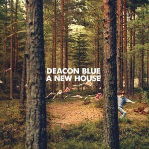 Deacon Blue - A New House (Vinyl)