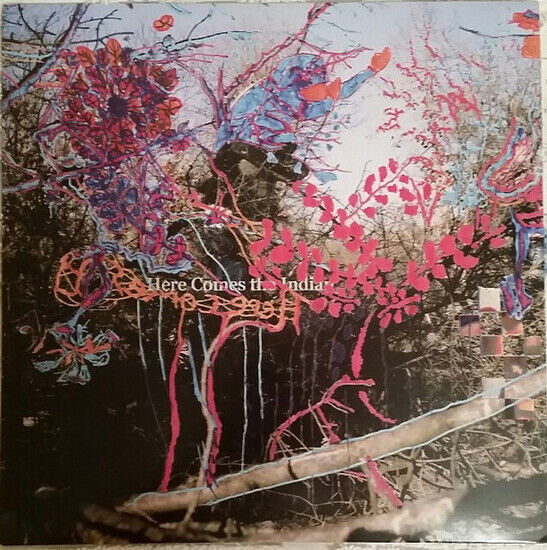 Animal Collective - Here Comes The Indian(Vinyl) (Vinyl)