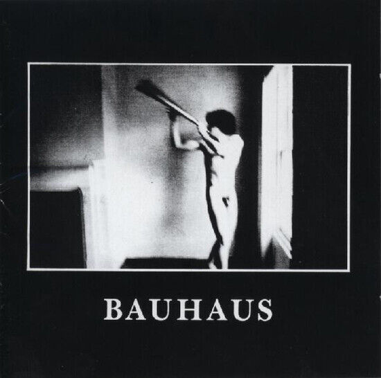 BAUHAUS - IN THE FLAT FIELD (CD)