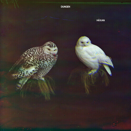 DUNGEN - HÄXAN (CD)