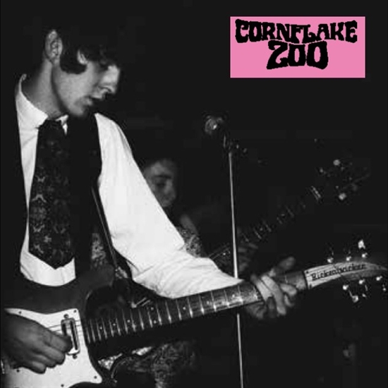 Cornflake Zoo - Knights Of Fuzz (Vinyl)